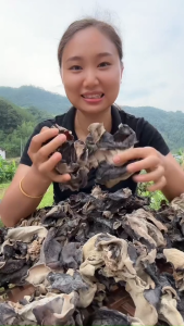 200g Dried Clear Water Black Fungus Wood Ear Mushroom Premium Grade Thick Flesh Clean No Impurity High Rehydration Rate For Stir Fry Cold Salad
