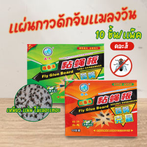 🔷ส่งด่วน🔷 (10ชิ้น/แพ๊ค) แผ่นกาวดักจับแมลงวัน กระดาษกาวดักแมลงวัน กาวดักแมลงวัน คละสี