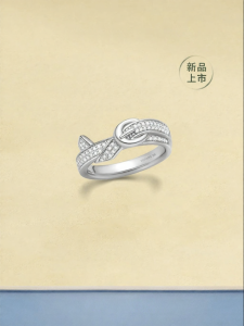 HEFANG Jewelry | Elegant Uniquely Designed Versatile Luxury Belt Ring