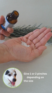 PetAlive® Heart and Circulation Tonic™ Granules for Dogs Cats - Natural Supplement for Heart Issues Heart Functioning and Blood Circulation