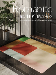 High-End Entrance Mat Home Door Mat Anti-Slip Dirt Resistant Hall Carpet Korean Style Square Long Rectangle Fiber Material