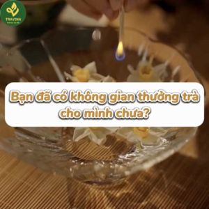 Trà Bắc Thái Nguyên - Travina - Trà Thái Nguyên chuẩn VietGap