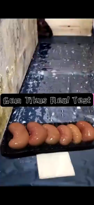 （Ready stock）Reusable Long effective Long Strong Sticky Mouse Trap – Rat Glue Catcher Pad Perangkap Tikus Pelekat