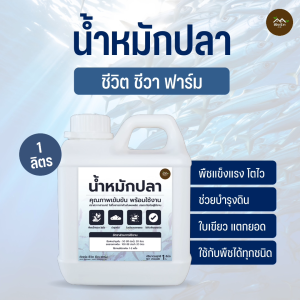 น้ำหมักปลา ช่วยกระตุ้นการเจริญเติบโตของพืช เสริมสร้างระบบราก