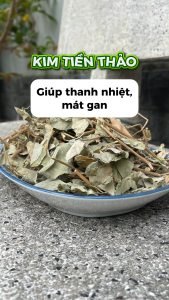 [Hàng mới về] Trà kim tiền thảo sấy khô 500g - Thảo Dược Tấn Phát - Chuyên dùng để pha trà lợi tiểu