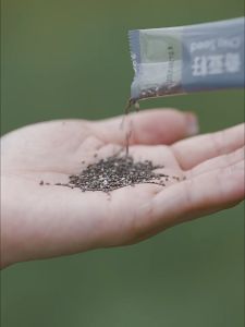 เมล็ดเจีย พร้อมทาน! Chia Seed (1แพ็ก/20ซอง) Qingye ธัญพืชเมล็ดเจีย เต็มเมล็ด อิ่มนาน พกพาสะดวก นำเข้า