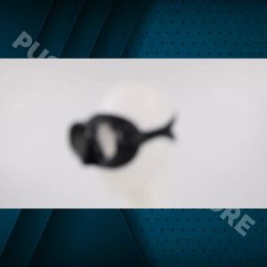 BERGARANSI TaffSPORT Kacamata Selam Pria dewasa anti kabut tembak ikan Scuba Diving Snorkeling M24