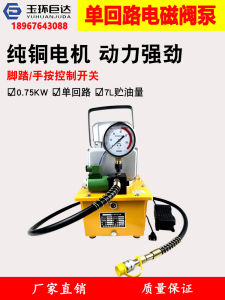 Super High Pressure Electric Hydraulic Pump with Foot Switch Oil Tube Integrated Magnetic Valve Pump Hydraulic Oil Pump Station