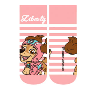 100% Genuine Paw Patrol 1SET Baby Spring Autumn Summer Knitted Socks Skye Everest Liberty Chase Marshall Rubble Rocky Age 3-7T