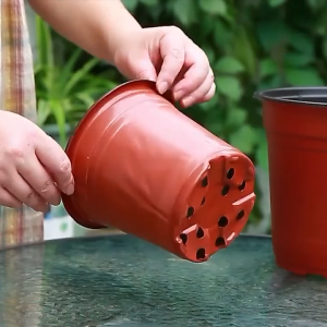 Set Pot Plastik Transplantasi Pot Bunga 25cm/30cm Untuk Tanaman Hias Succulent Anti Retak Tahan Lama