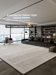 BOZK | Modern Minimalist No-Wash Washable Home Carpet