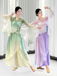 Elegant Classical Dance Costume Womens Sheer Chiffon Performance Practice Uniform Ethereal Fairylike Stage Ethnicwear