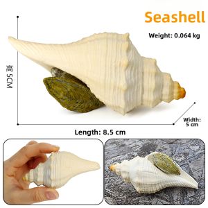 Educational Sea Creature Crabs and Hermit Crabs Toys