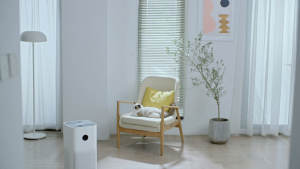 Xiaomi Smart Air Purifier 6 | Effective Purification | Air Quality | Smart OLED Display | WiFi App Control