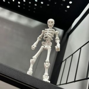 FANMIAO | Assembled Flexible Skeleton Figure Model