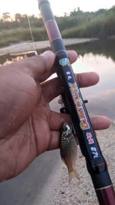 Joran Tegak Kolong Orca Xiaguang: Fiber Ring Lentur Ruas Pendek Siap Pakai