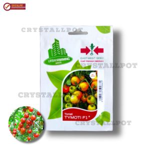 benih bibit tomat tymoti F1 cap panah merah - TOMAT TYMOTI F1