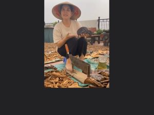 Nấm Linh Chi chuẩn rừng QG Núi Chúa _ thanh lọc gan giúp đẹp da giữ dáng mắt sáng tinh thần minh mẫn.