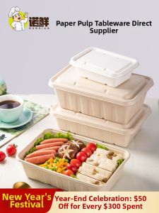 NUOXIAN | Degradable Packing Takeaway Box