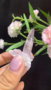 💗墨西哥克鲁兹 原矿标本 花朵形状 明显的阿卡西线 能量水晶