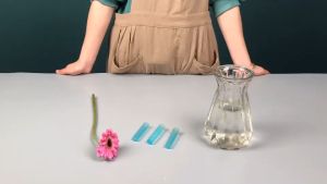 200pcs Flower Tube / Water Tube / Tabung Bunga / Pipa Bunga / Pipet Bunga