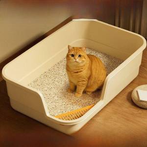 Besee | Large Splash-Proof Low Entry Cat Litter Box