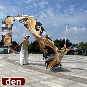 BSKT | Ruy băng lụa hình rồng tập thể dục cho người trung niên