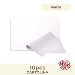 Cartolina (10 pcs per roll) 1 Color in a Roll