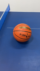 [Sovereign] PU Basketball Size 7 (SG Seller)