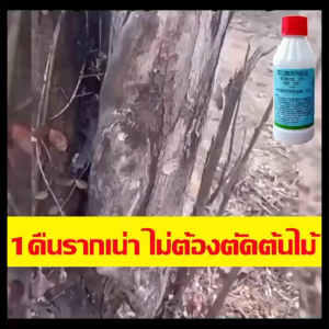 ยาฆ่าตอต้นไม้ ยาฆ่าต้นไม้ใหญ่ ยาฆ่ากอไผ่ ไม้ไผ่ รากตาย เข้มข้น 200ml