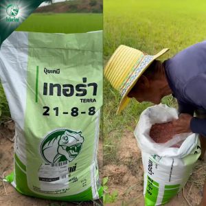 ปุ๋ยเคมีสำหรับข้าว 21-8-8 เทอร่า ตราไดโนเร็กซ์ เร่งบำรุงพืช เร่งการแตกยอด แตกใบใหม่ กระตุ้นการแตกราก บำรุงพืชระยะเริ่มการเจริญเติบโต เพิ่มความแข็งแรงให้กับต้นพืช ขนาดบรรจุ 25 กิโลกรัม