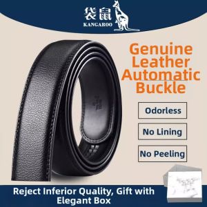 Kangaroo | Men Leather Buckle-less Belt Auto-lock