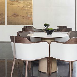 Modern Luxury Chinese Style Dining Chair Hotel Club Combination One Table Four Chairs Customizable Adult Wooden Chair with Armrests