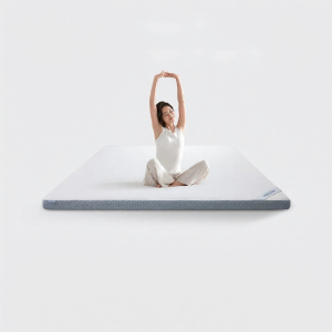 Memory Foam Mattress Pad for Students Dormitories Tatami Home Use 10cm