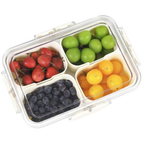 Snack Box Container 4 Compartments Divided Serving Tray with Lid Snackle Box Container Snack Organizer for Fruit Veggie Per