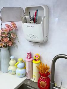 Wall-mounted Anti-mold Chopsticks Storage Box