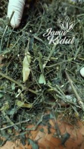 Daun Sambiloto Kering 100gr Organik - Asli Gunung Kidul