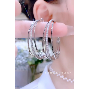 Trendy Large Circle Earrings 2025 New Style 925 Silver Needle Embellished with Diamonds Exaggerated Personality Flash Jewelry