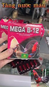B12 - MEGA dinh dưỡng dành cho gà đá .thuoc nuoi ga.tăng nươc mau.hừng gà