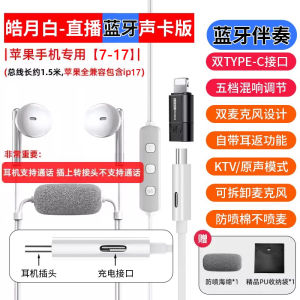 Berlin Sound Wired Type-C Dual Microphone Headphones for Karaoke Suitable for Huawei And Apple Music And Video Accessories