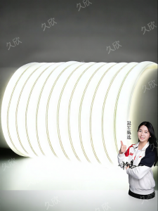 jiuxin lighting | Super Bright Waterproof Outdoor LED Strip 220V