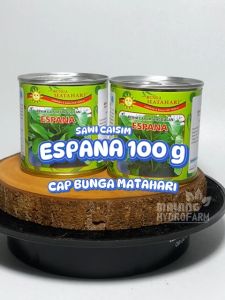Benih Sawi Caisim Espana 100 Gram Cap Bunga Matahari Dataran Rendah Bibit Biji Sayur Sayuran Shinta Hydroponik