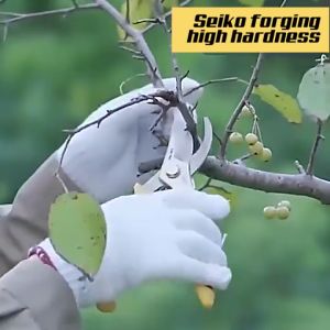 Stainless Steel Garden Pruning Shears: A Comprehensive Guide