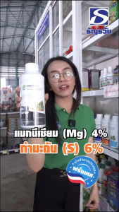 เฮชช.ดี แม็ก แมกนีเซียมบำรุงพืชทางใบ ขนาด 1 ลิตร นำเข้าจากประเทศฝรั่งเศส