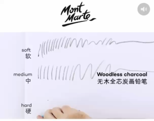 Mont Marte Signature Woodless Charcoal Pencils 3pce