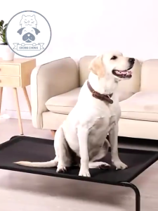 【Stronger Elevated Dog Bed】Large Pet Bed Breathable and Moisture-Resistant Dog Bed Washable