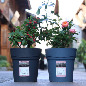 Chậu Hoa Phong Cách Châu Âu Dày Dặn Chậu Cây Tròn Cỡ Lớn Dành Cho Ban Công Chậu Trồng Hoa Hồng Trang Trí Nhà Cửa