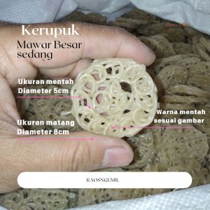 KERUPUK SEBLAK TEBAL KERUPUK MAWAR MENTAH BESAR & KECIL 1Kg ISI 220pcs