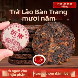 BANRUN | Trà Pu-erh Tuo Cha từ Cây Cổ Thụ 10 Năm Yunnan