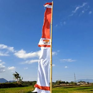 Bendera Merah Putih Satin Murah: Pilihan Dekorasi yang Tepat